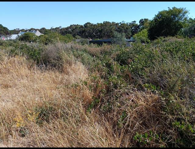 LAND FOR SALE IN DARLING